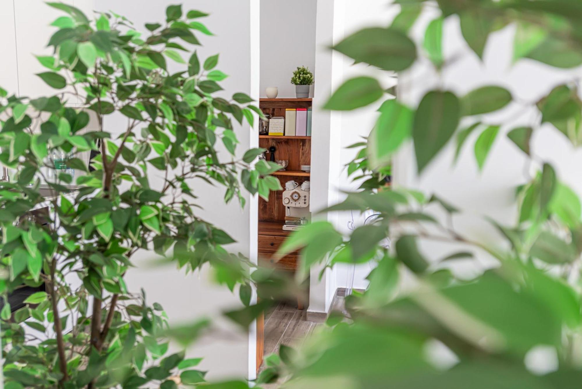 Appartamento Fuerte Hygge Tarajalejo Esterno foto